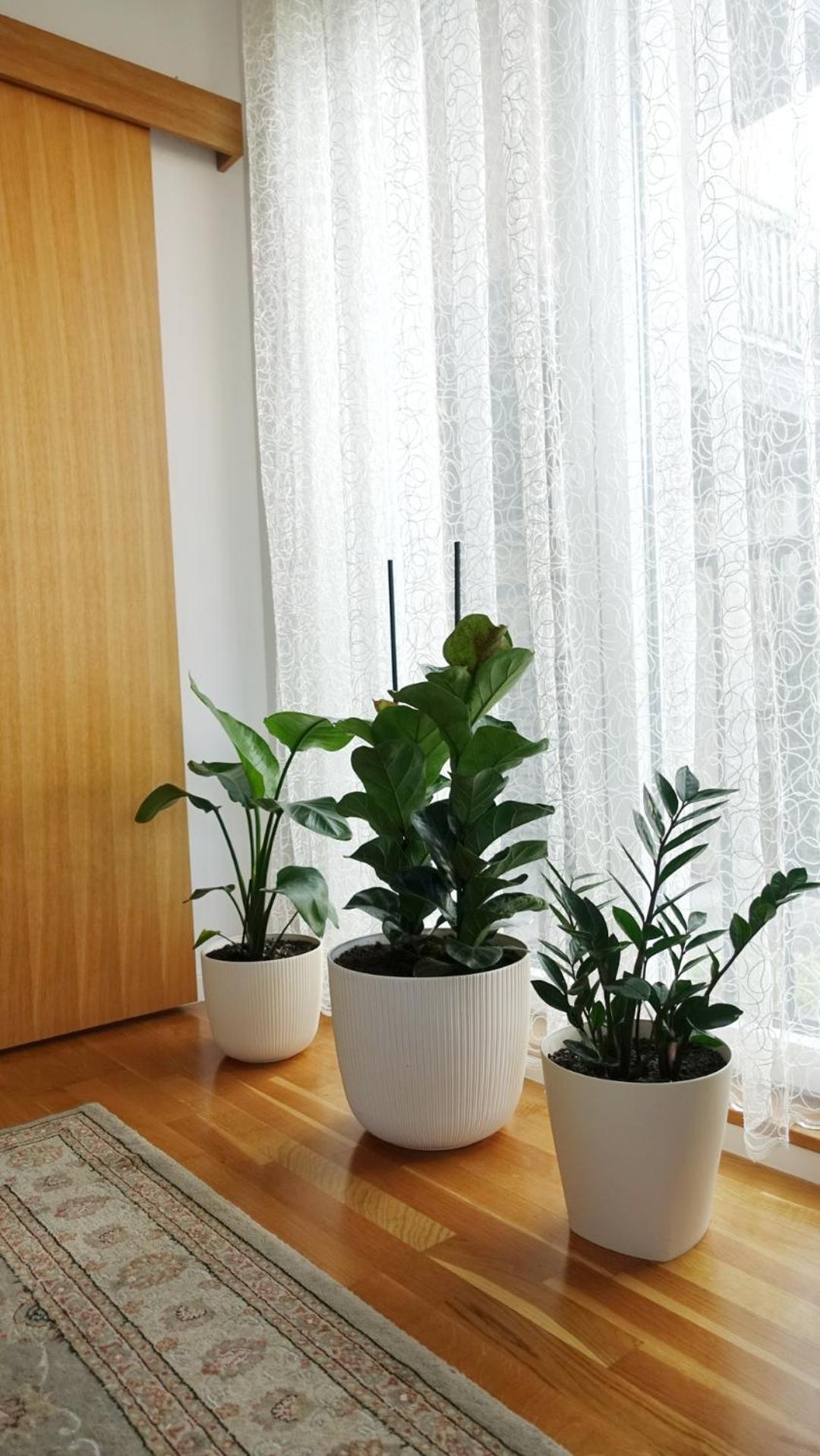 Jc10 Apartment 3 Bedroom, Free Parking, 73Sqm Novi Sad Eksteriør bilde